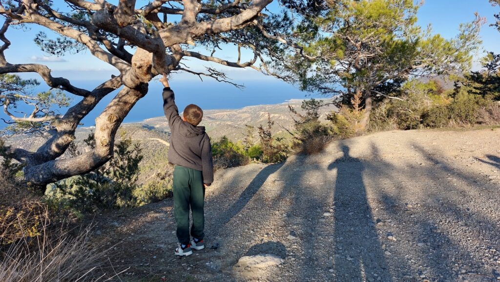 интенсив перезагрузка тела северный кипр