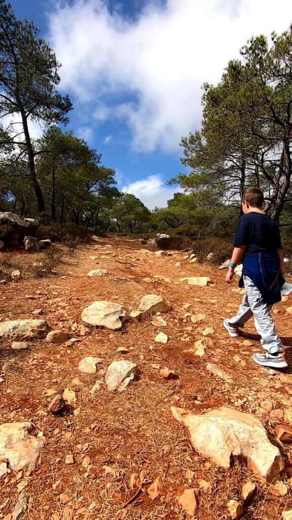 Маршрут Алевкая - грунтовка Маршрут Алевкая грунтовые дороги